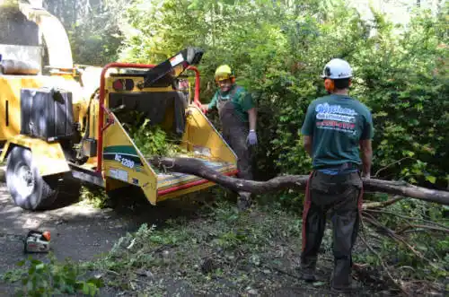 tree services Waianae